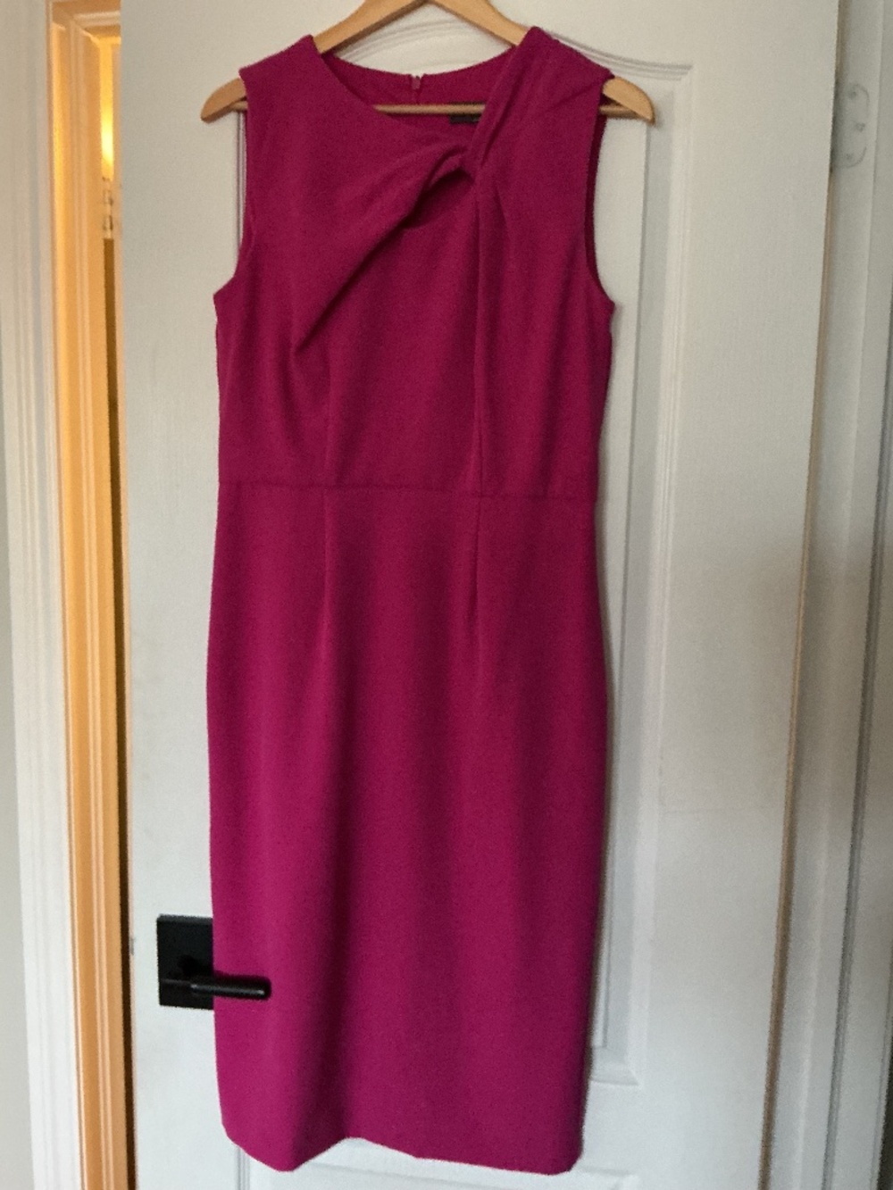 Donna Ricco New York fuchsia sheath dress size 10